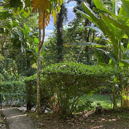Colina Secreta - Glamping And Villas Puerto Viejo de Talamanca ภายนอก รูปภาพ