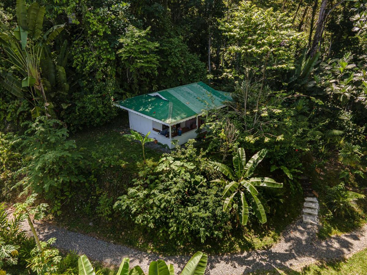 Colina Secreta - Glamping And Villas Puerto Viejo de Talamanca ภายนอก รูปภาพ
