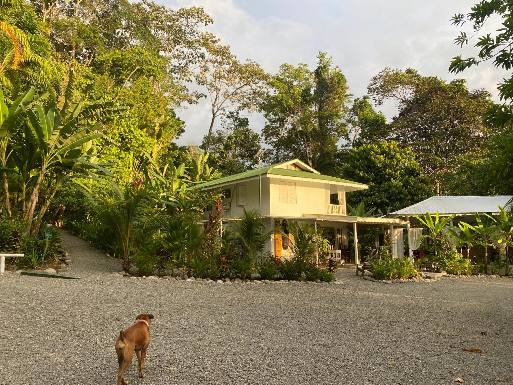 Colina Secreta - Glamping And Villas Puerto Viejo de Talamanca ภายนอก รูปภาพ