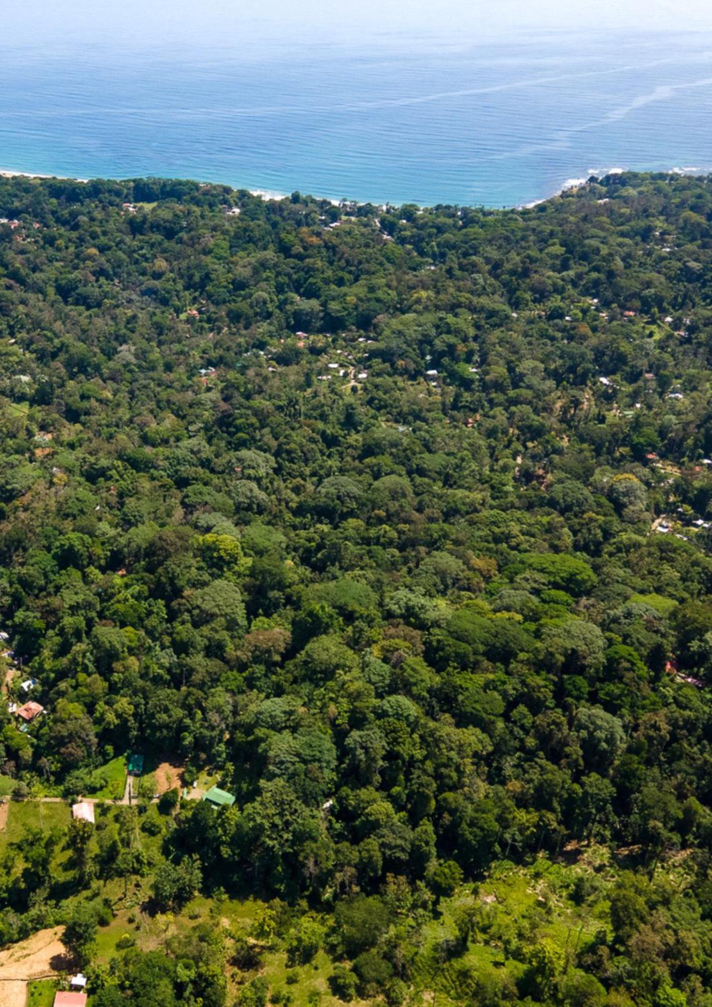 Colina Secreta - Glamping And Villas Puerto Viejo de Talamanca ภายนอก รูปภาพ